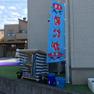 ゴールデンメダカ無人販売所 オーロラ黒ラメ 夜桜 ブラックダイヤ 緑光系百式 紅帝光 黄桜ラメ バタフライ 乙姫などの画像