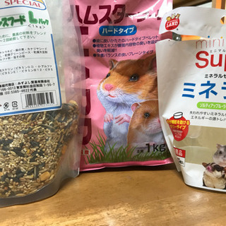 ハムスターケージ ルーミー＆砂浴びハウス等の画像