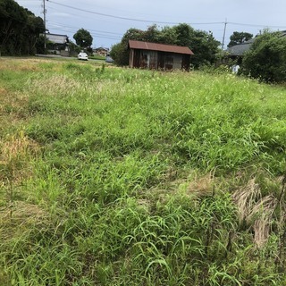 稲刈り・草刈り手伝います～