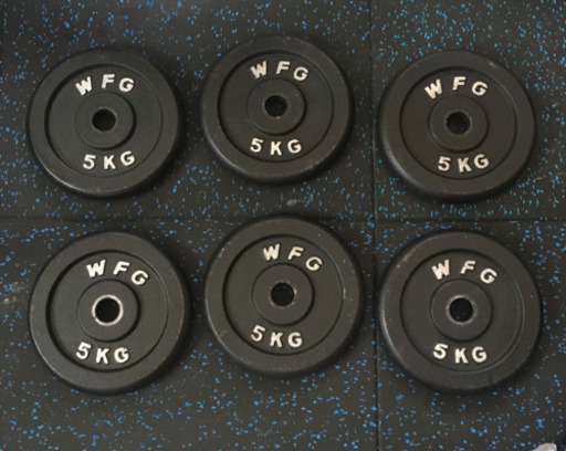 ワイルドフィット 28mm 5kg プレート 6枚セット