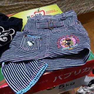 犬の服可愛いの画像