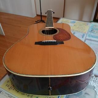 Morris W-25  ジャンクでもすごく弾きやすいの画像