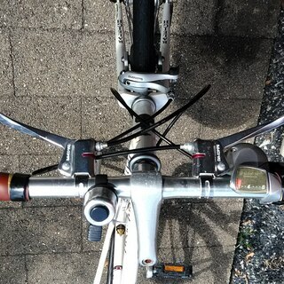 RALEIGH ラレー トレントスポーツ 内装8段 26インチの画像