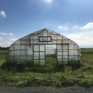 交渉中 農業用ビニールハウス 一式の画像