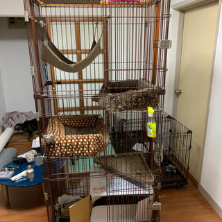 猫ゲージ【譲渡先決定】
