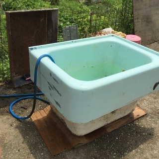風呂　浴槽　水貯め　魚飼育