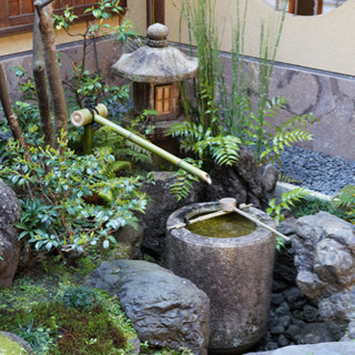 【募集中！⠀】余っている睡蓮鉢、手水鉢があれば連絡ください！よろ...