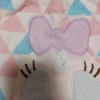 デイジー パイル地セットアップの画像
