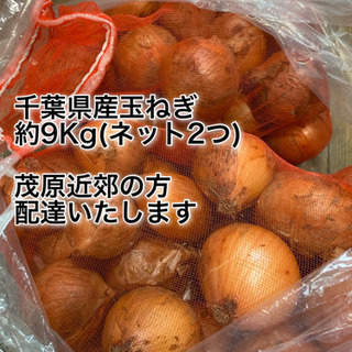 長生農家で獲れた玉ねぎ約9kg(M〜Lサイズ　ネット2つ分) 1...