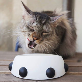 値下‼️新品✨イタリア製🇮🇹犬猫用フードボウル 定価¥1,800の画像