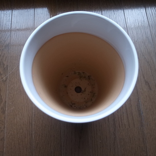 大きめな陶器製の植木鉢 白の画像