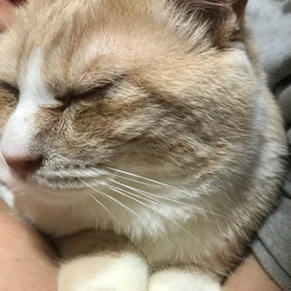 無事見つかりました！！🙇