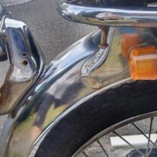 スズキコレダスポーツの画像