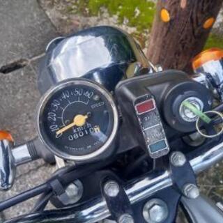 スズキコレダスポーツの画像