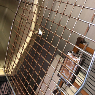 中型犬サイズのゲージの画像