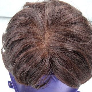 フォンテーヌ　ウィッグ　の画像