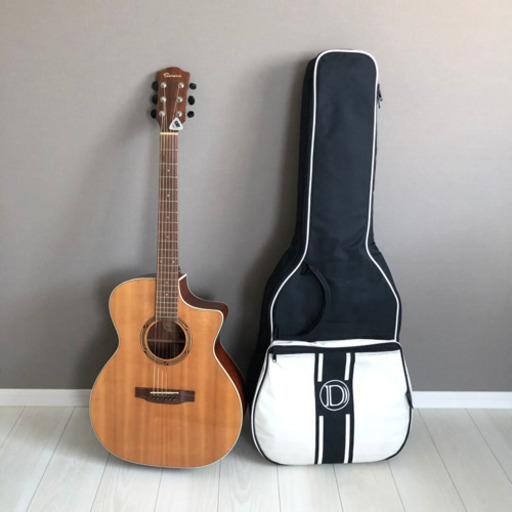 【美品】ケース付きエレアコ