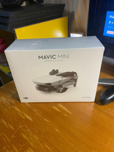 DJI Mavic Mini