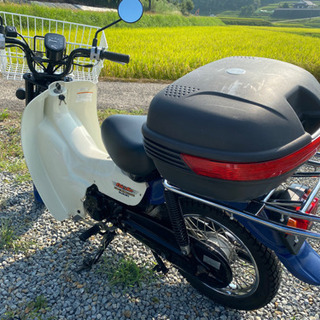【決まりました❣️】スズキ　バーディー50 FI の画像
