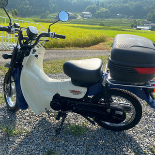 【決まりました❣️】スズキ　バーディー50 FI の画像