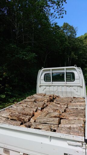 薪(ミズナラ) 薪ストーブ・キャンプ (昨年の秋に伐採・今年8月に薪割り)