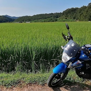 ツーリング仲間募集　スズキ　ジクサー150【限定】