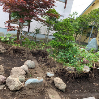 庭石 岩 貰ってください。