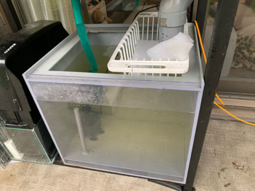 【商談中】　アクリルオーバーフロー水槽セット