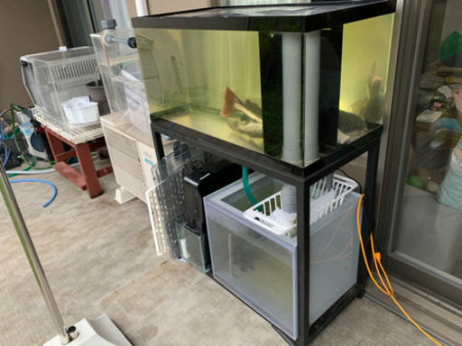 【商談中】　アクリルオーバーフロー水槽セット