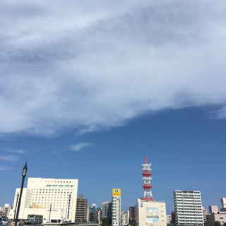 やすやぎ堤をお散歩メンバー募集