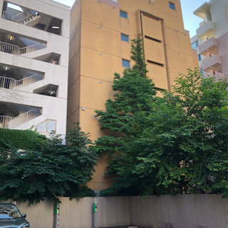 小さな造園屋さん。Rize  Garden 🦚