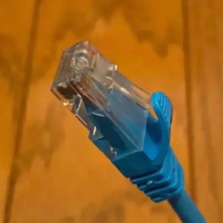 【差し上げます】LANケーブル 5m×1本、2m×2本の画像