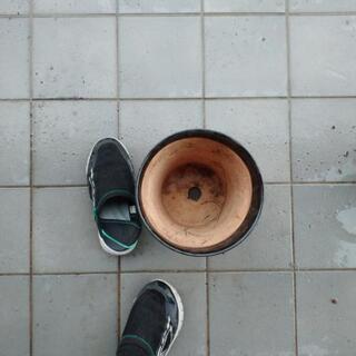 植木鉢 (焼物)の画像