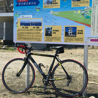 scott s40 10s アルテグラ換装