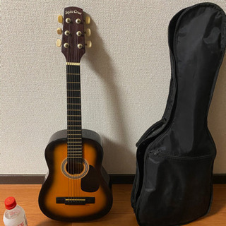 ミニギターとキャリングケース