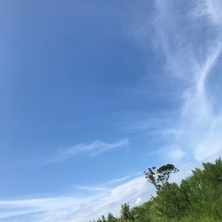HSPさんの心休まる会が作りたいです