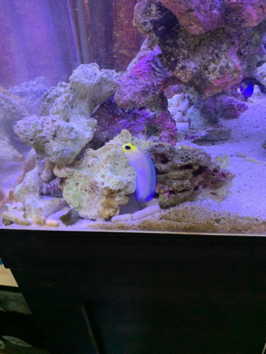 オーバーフロー水槽　100センチ