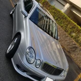 W211 E500アヴァンギャルド　低走行！