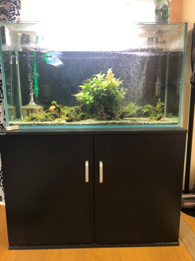 水槽、水槽台、一式すべて