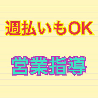 【週払いできます】営業指導と販売業務