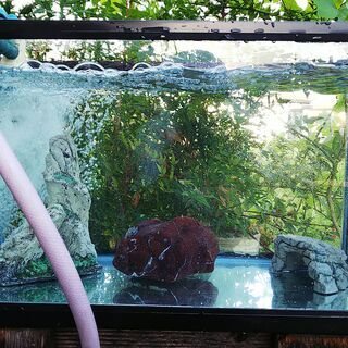 [まだまだ]  の  年式は少し前　でも、すぐに使える水槽セット...