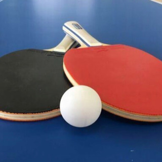 卓球　Ping Pong 相手