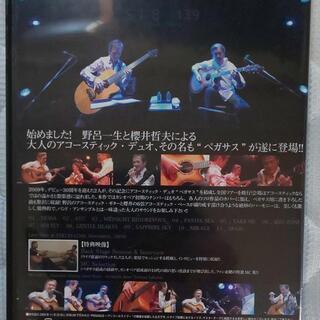  [再値引き] PEGASUS acoustic show 野呂一生 櫻井哲夫の画像