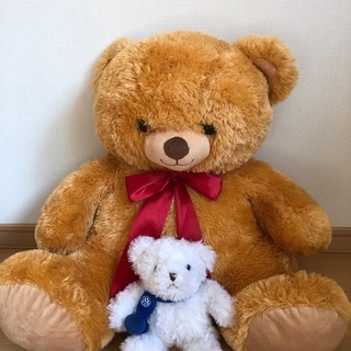 クマのぬいぐるみセット