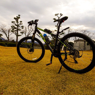 GT アグレッサースポーツ　2019