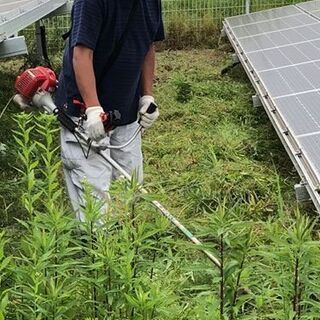 太陽光発電所内の草刈り、清掃スタッフ大募集！の画像