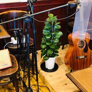 お店で歌ってYoutubeに出てドリンクを無料で飲もう！
