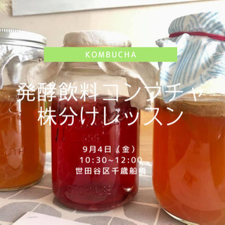 9/4発酵飲料コンブチャ株分けレッスン