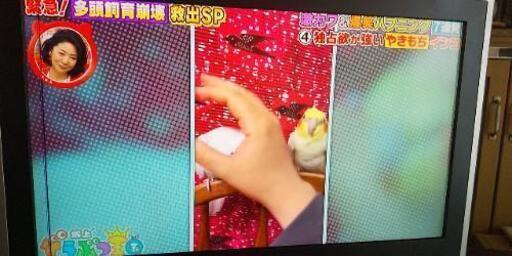 （お取引中）26インチ　テレビ