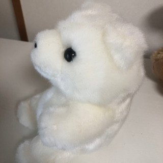 無料で差し上げます☆白いくまちゃんぬいぐるみの画像